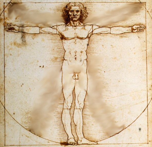 davinci-man-d